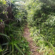 A Hotel Boutique Pelluhue