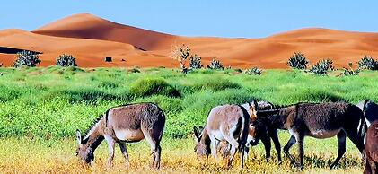Erg Chegaga Desert Camp