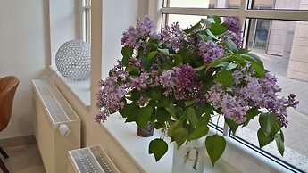 Boutique-Hotel Kronenstuben
