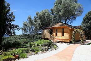 L'Hostellerie Du Moulin Des Oliviers