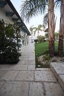 Dea Degli Ulivi House