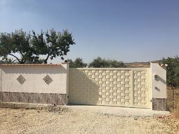 Dea Degli Ulivi House