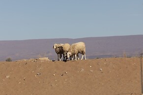 Erg Chegaga Standard Camp