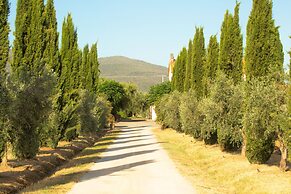 Agriturismo Al Vermigliano