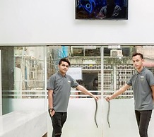 Holiday Season Motel