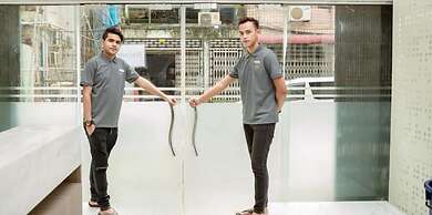 Holiday Season Motel