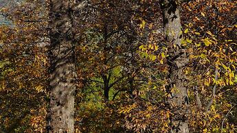 Antico Borgo San Francesco