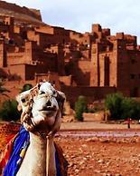 Auberge Kasbah Tiriguioute