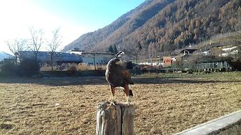 B&B Nido Delle Aquile