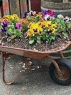 The Ashe Farm Bed & Breakfast