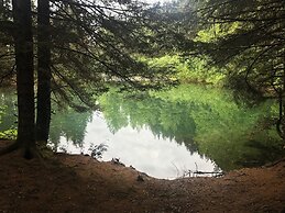 Front Row Bed and Breakfast