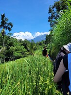 Les Rizieres Lombok - Tetebatu