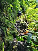 Les Rizieres Lombok - Tetebatu