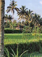 Les Rizieres Lombok - Tetebatu