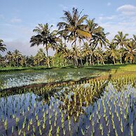 Les Rizieres Lombok - Tetebatu