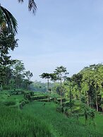 Les Rizieres Lombok - Tetebatu