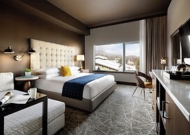 The Josie Hotel, Autograph Collection