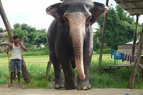 Rainbow Safari Resort