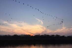 Rainbow Safari Resort