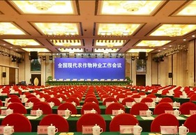 Vaya International Hotel