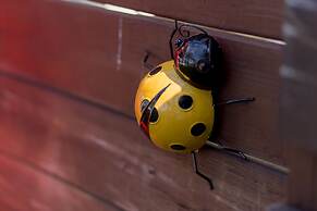 Muxia Siji Sea View Guesthouse