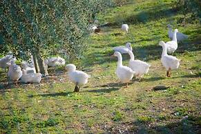 Agriturismo Le Bucoliche