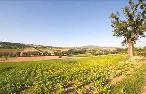 Agriturismo Le Bucoliche