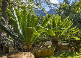 LittleBush Private Lodge