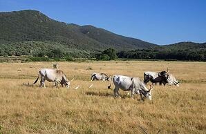 B&B Le Mura
