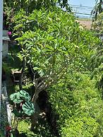 ZEN Boutique Villa Hoi An