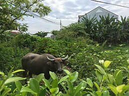 ZEN Boutique Villa Hoi An