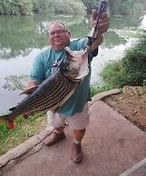 Komati River Chalets