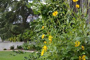 Le Coteau de Bazeille