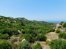 Domaine Bocca Di Feno