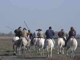 Le Nid du Pont de Gau