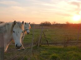 Le Nid du Pont de Gau