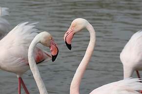 Le Nid du Pont de Gau