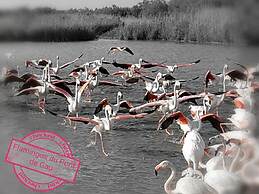 Le Nid du Pont de Gau