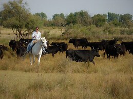 Le Nid du Pont de Gau