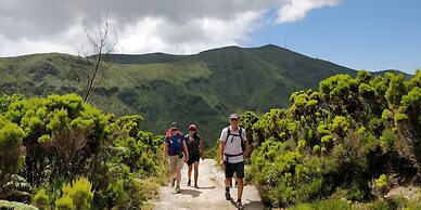 Quinta Minuvida Orchard Lodge