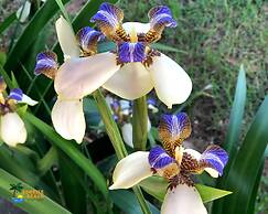 Pousada Sunrise Beach