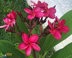 Pousada Sunrise Beach