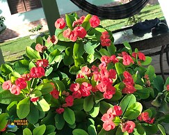 Pousada Sunrise Beach