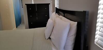 New Kingston Guest Apartment at Eight