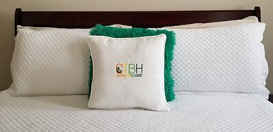 New Kingston Guest Apt at Kingsway