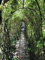 Hotel Casa Chapultepec - Hostel