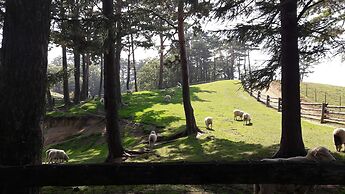 Daegwanryeong Genie House