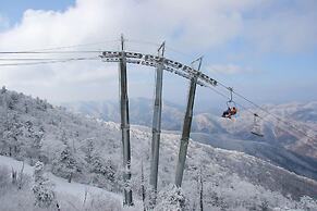 Daegwanryeong Genie House
