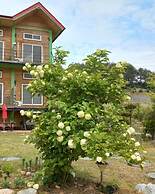 Daegwanryeong Genie House