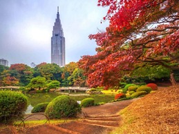 Hotel BaliAn Resort Higashi Shinjyuku